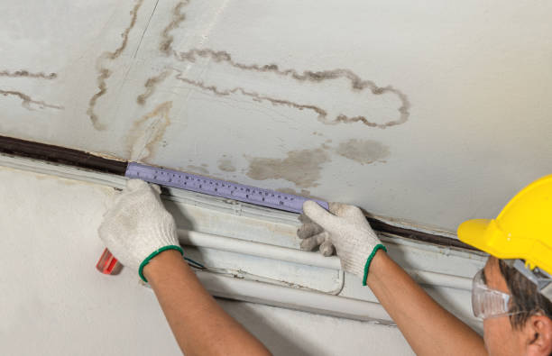 Reliable Water Damage Repair contractor in Bolinas, CA by Hirex Water Damage